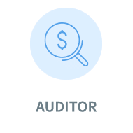 Auditor insurance