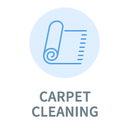 Business Insurance for Carpet Cleaning Professionals
